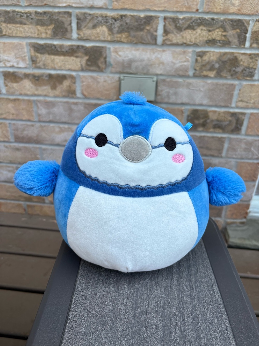 Squishmallows 8” Babs the Blue Jay Bird (OG 2021) plush